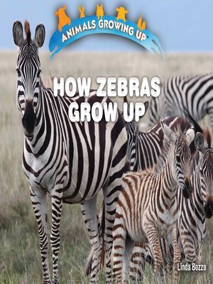 cover image of How Zebras Grow Up